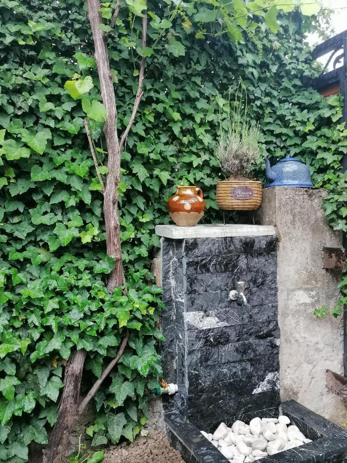Autograph Boutique Home 9 Borjomi Dış mekan fotoğraf